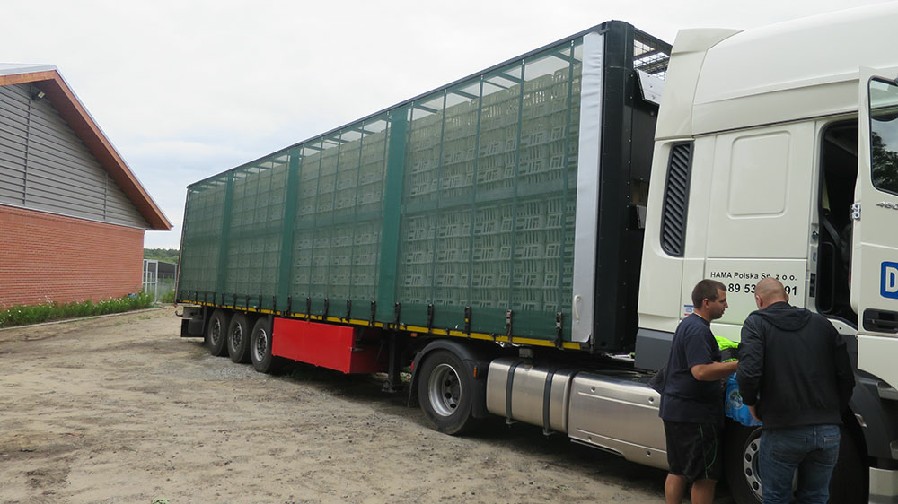Adult pheasnt transport lorry